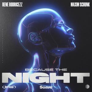 Album Because the Night oleh Maxim Schunk