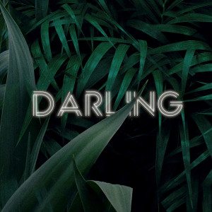 Listen to Darling song with lyrics from Giolì & Assia