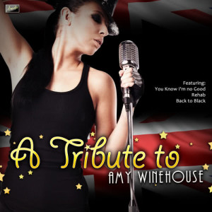 ดาวน์โหลดและฟังเพลง You Know I'm No Good พร้อมเนื้อเพลงจาก Ameritz Tribute Standards