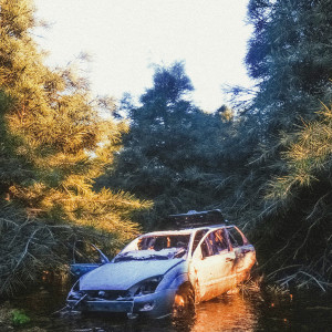 Album DROPPED from 