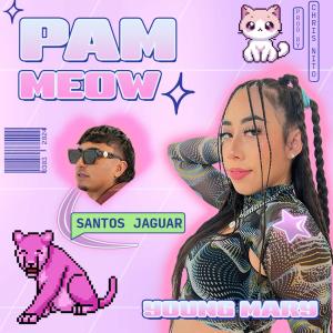 Santos Jaguar的專輯Pam Meow
