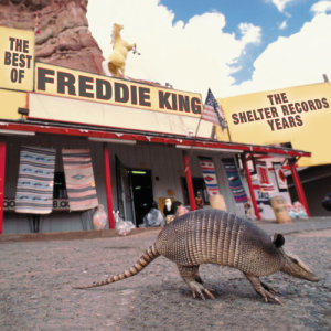 收聽Freddie King的Help Me Through The Day (Remastered)歌詞歌曲