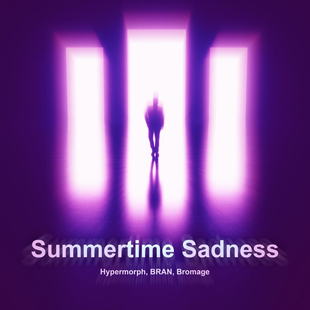 Summertime Sadness (Techno Version)