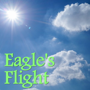 Listen to Higher Than A Hawk song with lyrics from Howard Keel