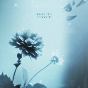 Album Riverbed (feat. Birdy) (Acoustic) from Matt Ryder