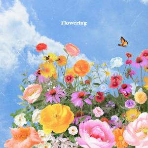 Listen to I am love song with lyrics from 이더 (E the)