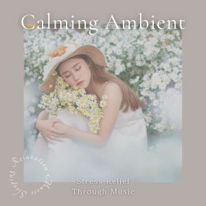 Album Calming Ambient - Stress Relief Through Music from Sleeping Relaxation Music