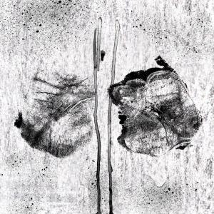 收聽Thimajin的des anges ? (Explicit)歌詞歌曲