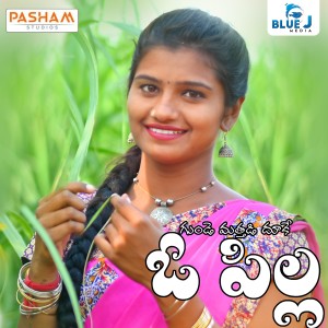 Listen to Gunde Matthadi Dhuke O Pilla song with lyrics from Lavanya Potharaju