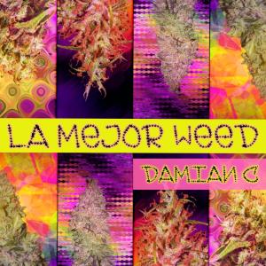 Listen to La Mejor ** (Explicit) song with lyrics from DJ Damian C
