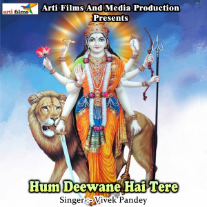 ดาวน์โหลดและฟังเพลง Hum Deewane Hai Tere พร้อมเนื้อเพลงจาก Vivek Pandey