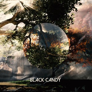 Album Black Candy from ZLX张林雪