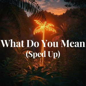 Listen to What Do You Mean (Sped Up) song with lyrics from Jutin Biber