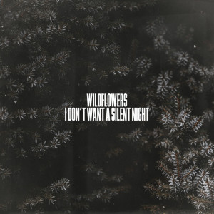 ดาวน์โหลดและฟังเพลง I Don't Want a Silent Night (Instrumental Version) พร้อมเนื้อเพลงจาก Wildflowers