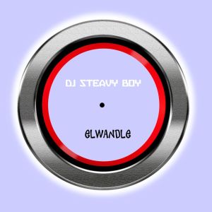 DJ Steavy Boy的專輯Elwandle