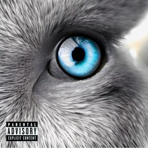 收听Tanto的DiamondBackEyeView (Explicit)歌词歌曲
