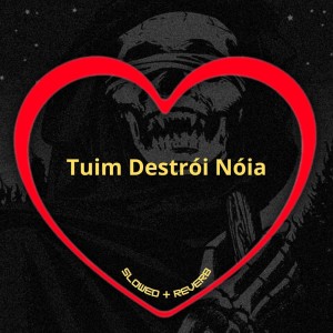 Listen to Tuim Destrói Nóia (Slowed + Reverb|Explicit) song with lyrics from Love Fluxos