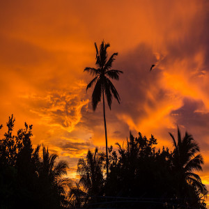 Listen to Sunset song with lyrics from Symbolic
