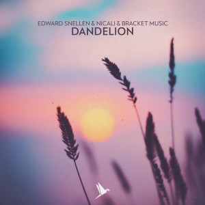Edward Snellen的專輯Dandelion