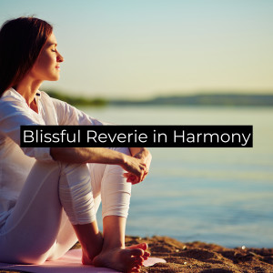 Album Blissful Reverie in Harmony oleh Soft Background Music