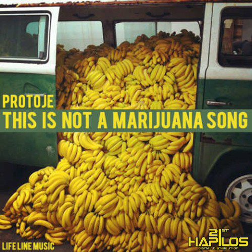 This Is Not a Marijuana Song