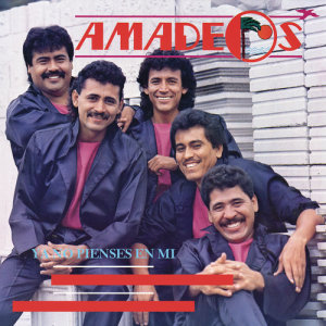 ดาวน์โหลดและฟังเพลง Perdimos los Dos พร้อมเนื้อเพลงจาก Amadeos
