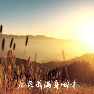 ดาวน์โหลดและฟังเพลง 后来我满身烟味 พร้อมเนื้อเพลงจาก 海平