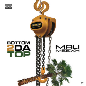 Album Bottom 2 da Top (Explicit) from Mali Meexh