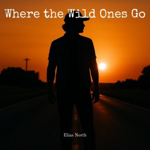 Listen to Good to Be Breathing song with lyrics from Elias North