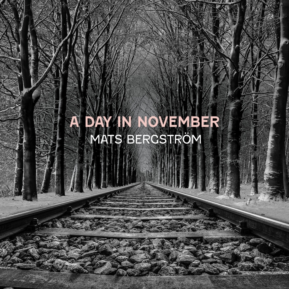 A Day In November