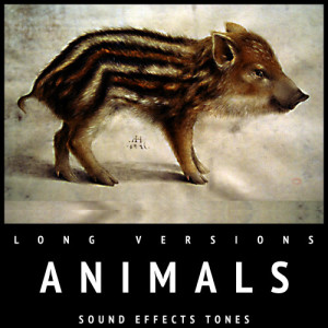 ดาวน์โหลดและฟังเพลง Roosters and Hens 30 Seconds พร้อมเนื้อเพลงจาก Text Tones
