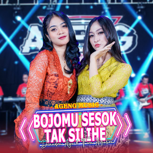 Dengarkan Bojomu Sesok Tak Silihe lagu dari Diandra Ayu dengan lirik