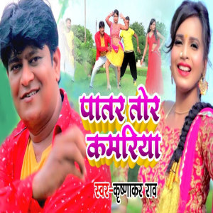 Listen to Patar Tor Kamariya song with lyrics from Krishnakar Rao