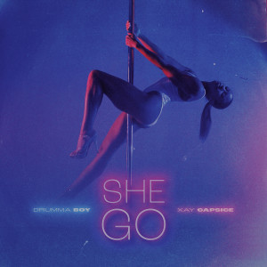 Drumma Boy的专辑She Go (Explicit)
