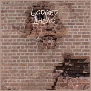 อัลบัม Lodged Ahead ศิลปิน Various