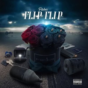 Album Flip Flip (Explicit) from pirko