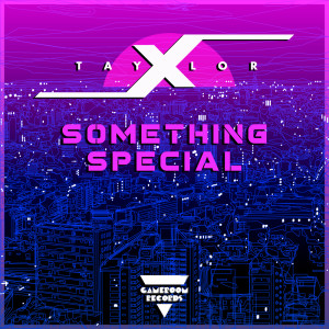 ดาวน์โหลดและฟังเพลง Something Special พร้อมเนื้อเพลงจาก TaylorX