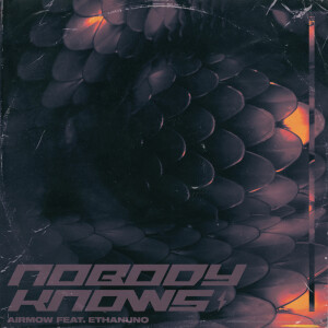 ดาวน์โหลดและฟังเพลง Nobody Knows พร้อมเนื้อเพลงจาก Airmow