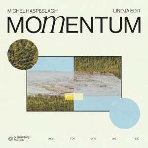 Michel Haspeslagh的專輯Momentum (Lindja Edit)