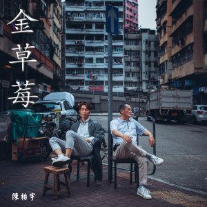 收聽陳柏宇的金草莓歌詞歌曲