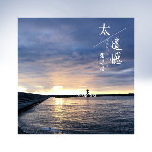 Listen to 太遗憾 song with lyrics from 张思思