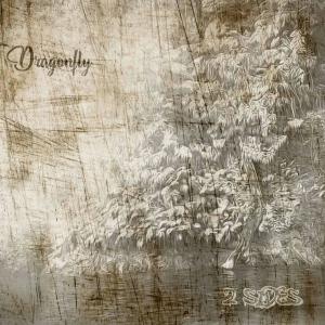 Album 2 Sides oleh Dragonfly