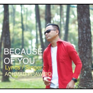 ดาวน์โหลดและฟังเพลง Because of You พร้อมเนื้อเพลงจาก Achmad Prawiro