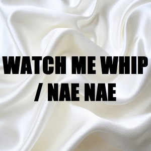 อัลบัม Watch Me Whip /Nae Nae (In the Style of Silento) [Karaoke Version] - Single ศิลปิน BeatRunnaz
