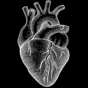 Listen to Heart + Mind + Body + Soul song with lyrics from Johnny Black