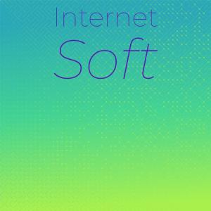 Various Artists的專輯Internet Soft