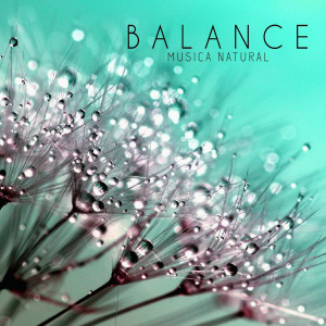 ดาวน์โหลดและฟังเพลง Free พร้อมเนื้อเพลงจาก Balance