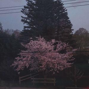 收听Heartless的best4u (Explicit)歌词歌曲