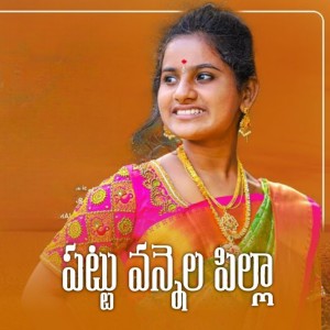 Album Pattu Vannela Pilla Bava Marudala from 