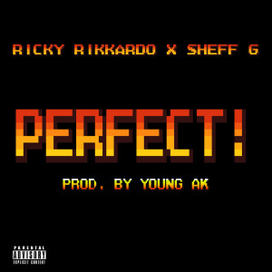 Listen to Perfect! (Explicit) song with lyrics from Ricky Rikkardo